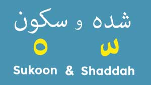 Learn Arabic skoon and shaddah